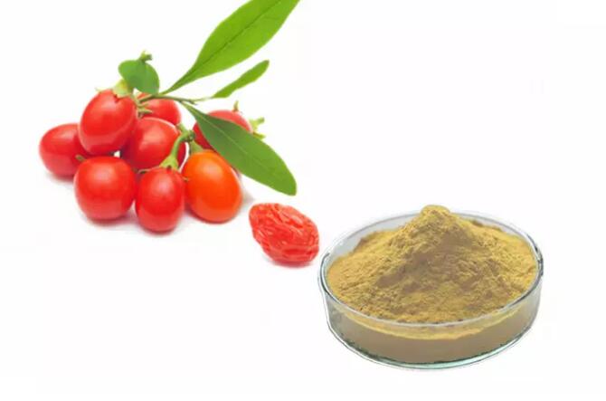 goji berry extract