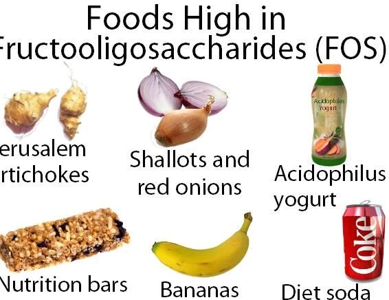 inulin foods inulin foods