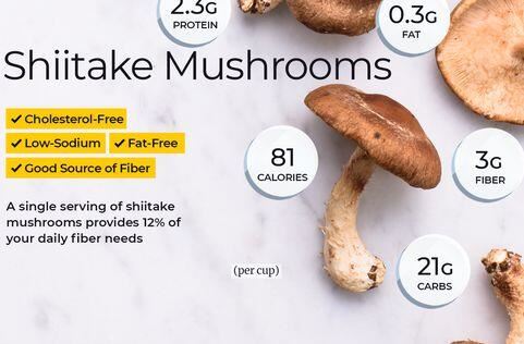 shiitake benefits