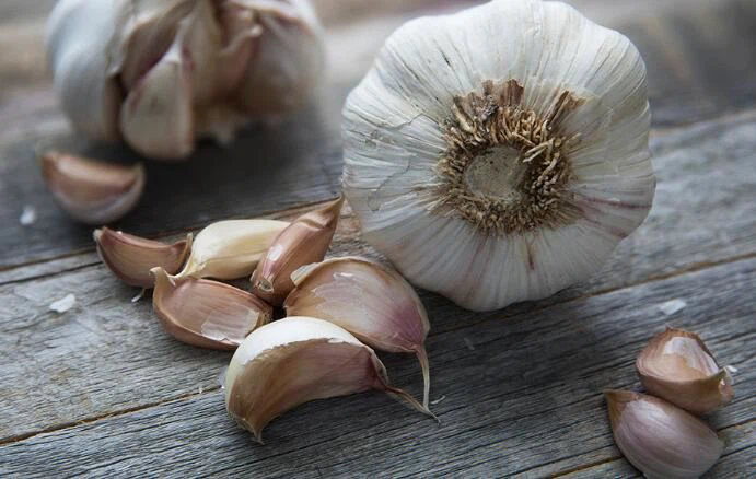 What is allicin potential