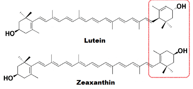 Lutein and Zeaxanthin Structure Lutein and Zeaxanthin Structure