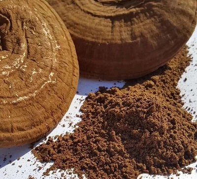 रेशी मशरूम अर्क निर्माता: निष्कर्षण प्रक्रियाएं और क्षमता परीक्षण