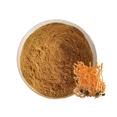 ऑर्गेनिक कॉर्डिसेप्स मिलिटेरिस पाउडर