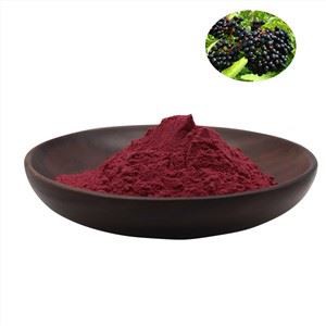 एल्डरबेरी एक्सट्रैक्ट पाउडर