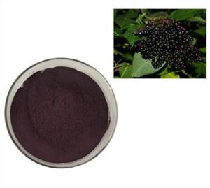 सांबुकस एल्डरबेरी एक्सट्रैक्ट