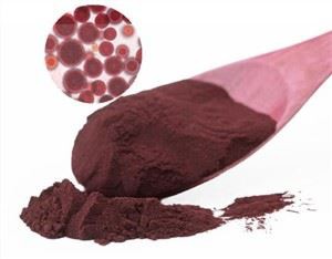 बिक्री के लिए Astaxanthin पाउडर
