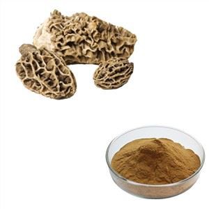 मोरेल पाउडर