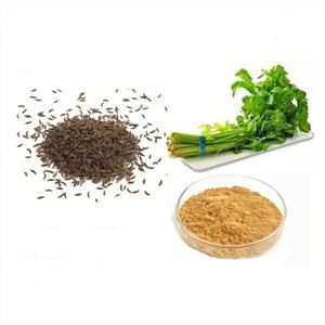 ऑर्गेनिक अजवाइन बीज पाउडर