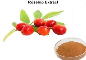 गुलाब का पाउडर निकालें