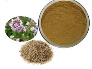 थाइमस वल्गैरिस एक्सट्रैक्ट