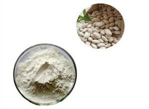 व्हाइट किडनी बीन पाउडर