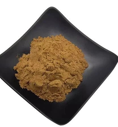 एंजेलिका पॉलीमोर्फा साइनेंसिस रूट निकालें