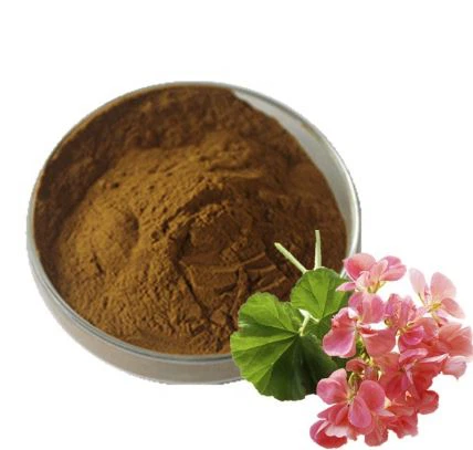 Geranium संयंत्र निकालें