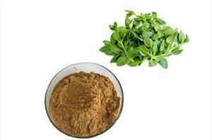 एंड्रोग्राफिस निकालें