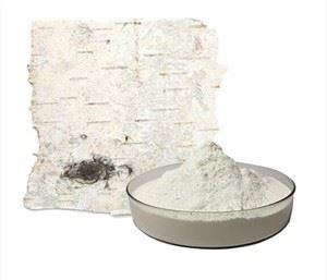 सफेद सन्टी छाल निकालने