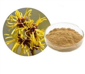 विच हेज़ल एक्सट्रैक्ट