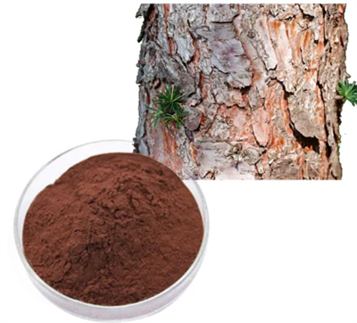 प्रोएंथोसायनिडिन एक्सट्रैक्ट