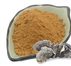 टर्की टेल मशरूम बीटा ग्लूकन